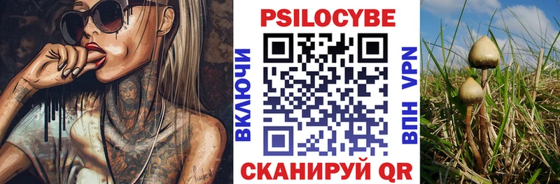 Псилоцибиновые грибы Cubensis  закладки  МЕГА ссылка  Асино 